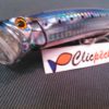feed popper 120 n8 macquereau