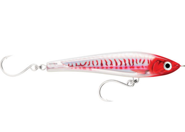 mackerel