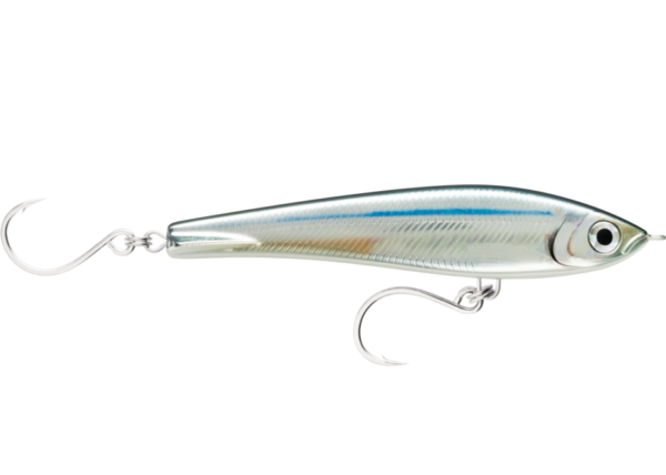 mackerel