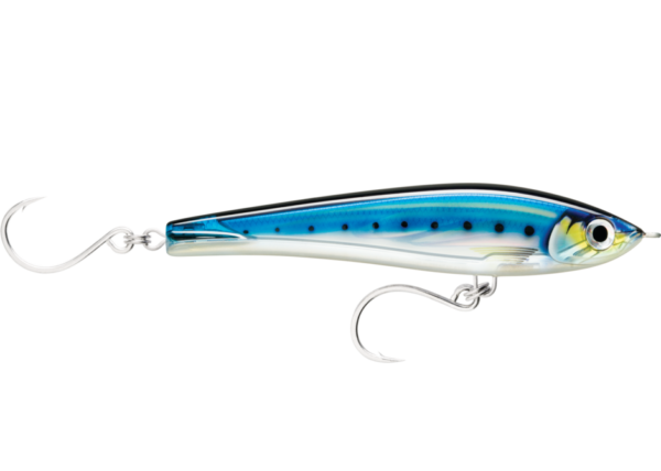 mackerel