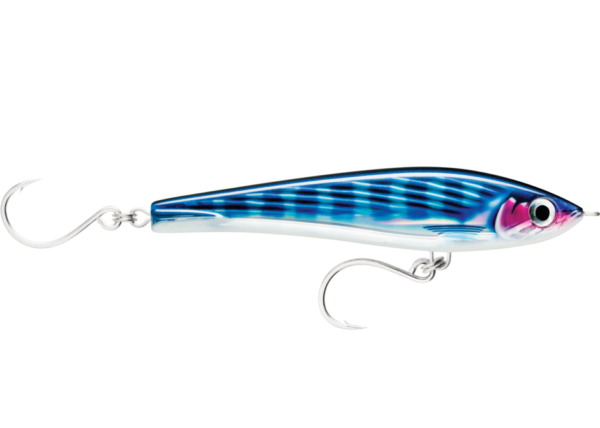 mackerel
