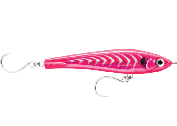mackerel