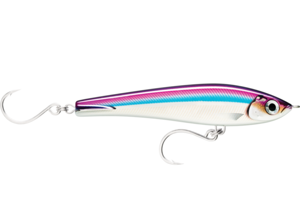 mackerel