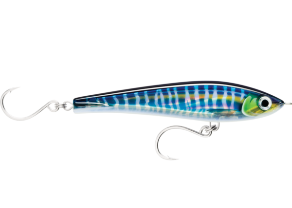 mackerel